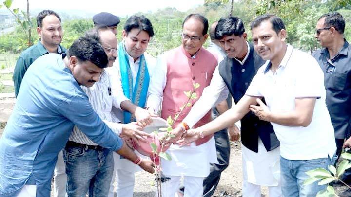 मुख्यमंत्री श्री चौहान ने पीपल, जामुन और अमरूद के पौधे लगाये